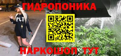 прущие грибы Татарск